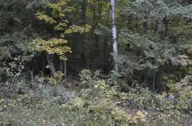 PtLt 61 Old Hastings Road Bancroft Ontario K0L 1P0