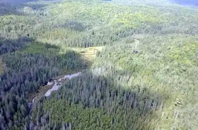 00 Snider Road Addington Highlands Ontario K0J 2R0