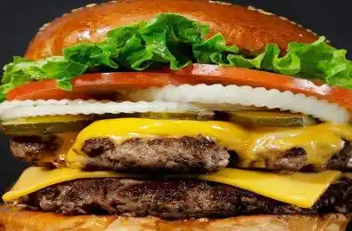 3221 Derry Road Unit# 19 Mississauga Ontario L5N 7L7