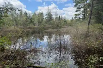 3307 518 Highway McMurrich/Monteith Ontario P0A 1Y0