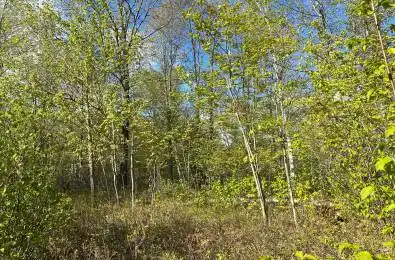 Lot 6 Casson Trail Madawaska Valley Ontario K0J 1B0