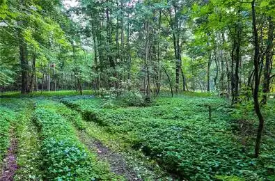 PINE GLEN Road Rideau Lakes Ontario K0G 1E0