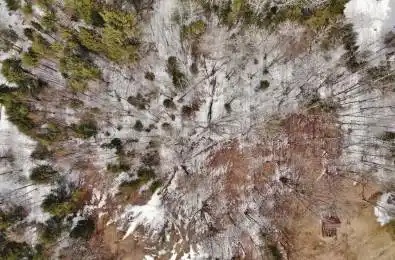 Unopened Road Allowance N/A Faraday Ontario K0L 1C0