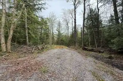 Bear Cave Road Muskoka Lakes Ontario P0C 1J0