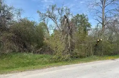 Maple Ridge Drive Kawartha Lakes Ontario K0L 2W0