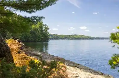 1124 Coate Road Unit# 8 Muskoka Lakes Ontario P0C 1J0