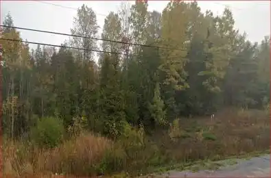 18362 Highway 62 N/A Tudor & Cashel Ontario K0K 1Y0