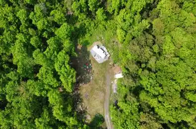 1854 The South Road Wollaston Ontario K0L 1P0