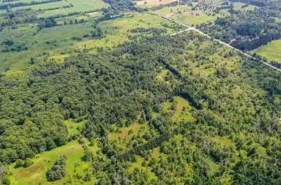 PT LOT 11 CON 4 ESCARPMENT Side Road Caledon Ontario L7K 1E8