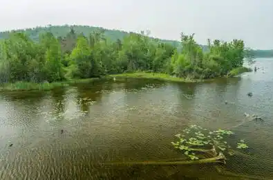 22 Helen Drive Kawartha Lakes Ontario K0L 2W0