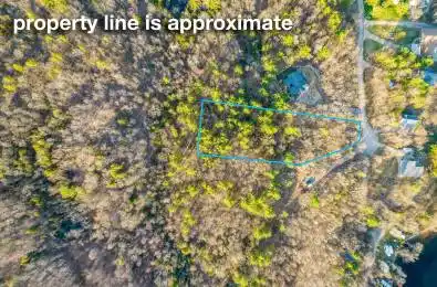 Quail Ridge Lane Madoc Ontario K0K 2K0