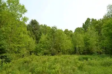 1527 Madill Road Highlands East Ontario K0M 1R0