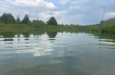 PT16 Concession 17 Side Road Brock Ontario L0K 1A0