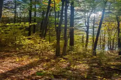 31099 Highway 7 Highway Frontenac Ontario K0H 1Z0