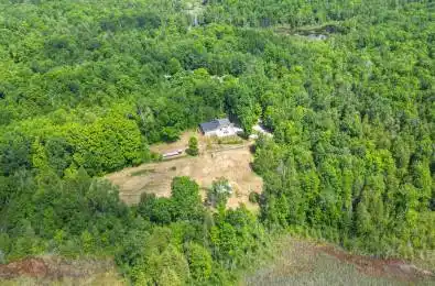 932 Hunt Club Road Madoc Ontario K0K 2K0