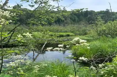 Pt Lt 6 Con 9 N/A Highlands East Ontario K0M 1R0