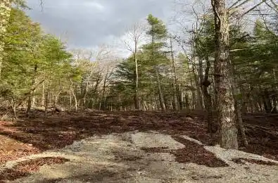 LOT 27 BUSHWOLF LAKE Road Dysart et al Ontario K0M 1S0