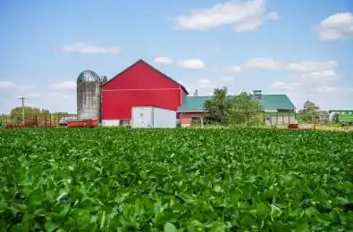 425158 Irish Lake Road Grey Highlands Ontario N0C 1H0