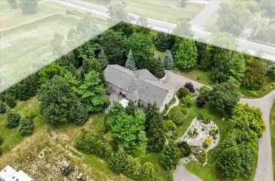 10046 Walker Road Amherstburg Ontario N0R 1J0