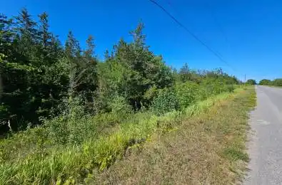 Beside 101 Royal Road Prince Edward County Ontario K0K 2P0