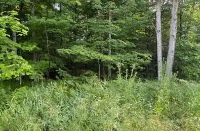 60 SUMMER LEIGH Trail Huntsville Ontario P0B 1M0