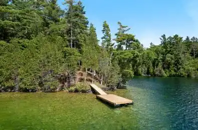 000 Palmerston Lake N/A Frontenac Ontario K0H 2J0