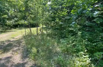 Red Pine Road Tay Valley Ontario K0H 2B0