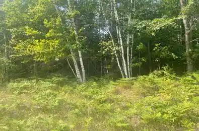 1571 Schutt Road Brudenell, Lyndoch and Raglan Ontario K0J 2E0