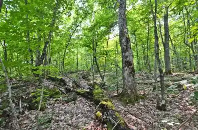 Lyndsey Lane Unit# Part 2 McKellar Ontario P2A 0B5