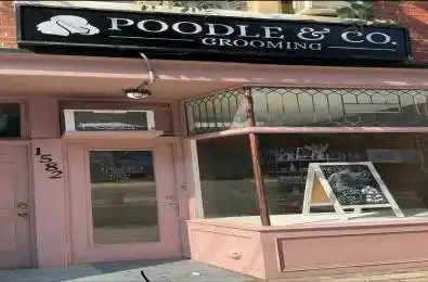 1582 Queen Street Toronto E01 Ontario M4L 1G1