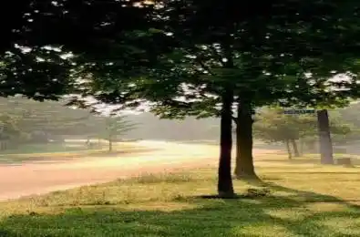 54 Cliffwood Road Unit# Unit B Toronto C15 Ontario M2H 3J7