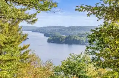 2611 Highway 35 Highway Algonquin Highlands Ontario P0A 1E0