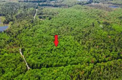 Healey Lake Road Bracebridge Ontario P1L 1X3