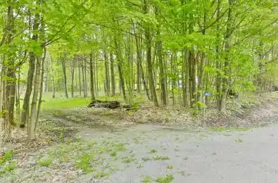 1465 Phillipston Road Centre Hastings Ontario K0K 2Y0