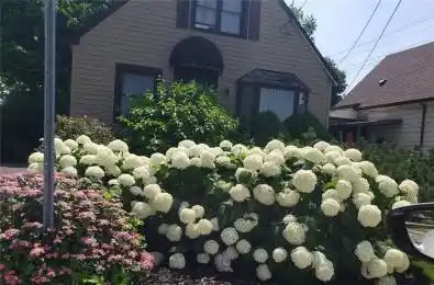 251 East 31st Street Hamilton Ontario L8V 3P6