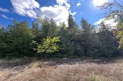 Tower Road Madoc Ontario K0K 1Y0