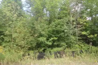 Lot 41 Robinson Road Wasaga Beach Ontario L9Z 1Y3