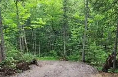 1161 Miriam Drive Bracebridge Ontario P1L 1X1