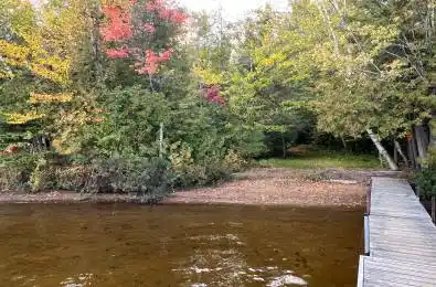 FOREST VIEW Road Hastings Highlands Ontario K0L 1C0