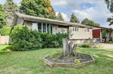 558 Sprucehill Avenue Waterloo Ontario N2L 4V7