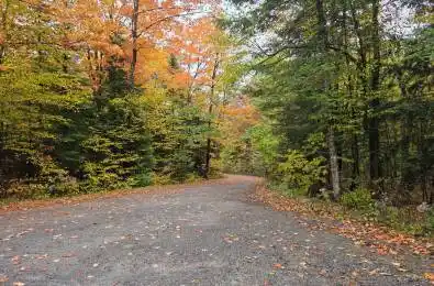 1129 Universal Road Dysart et al Ontario K0M 1S0