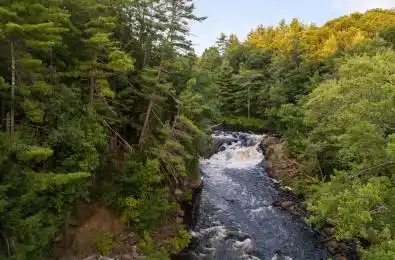 1401 Coopers Falls Road Ramara Ontario L0K 2B0