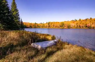 3517 Haliburton Lake Road Dysart et al Ontario K0M 1S0