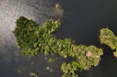 2295 Stony Lake Isl 17 N/A North Kawartha Ontario K0L 2H0