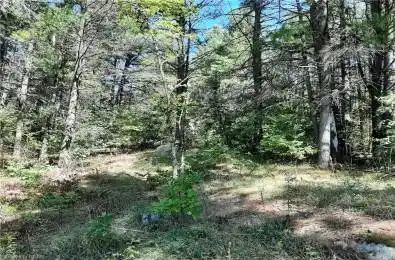 0 PT LT12 CON14 Hwy 37 Road Tweed Ontario K0K 3J0