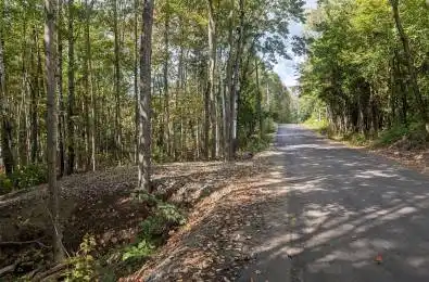 Lot 1 Tally-Ho Winter Park Road Lake of Bays Ontario P1H 2E8