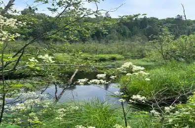 0 Pt Lt 6 Con 9 N/A Highlands East Ontario K0M 1R0