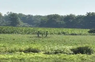 4688 Godby Road Bayham Ontario N0J 1T0