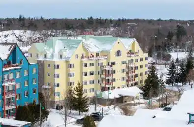 110 Steamship Bay Road Unit# 102 Gravenhurst Ontario P1P 1Z9
