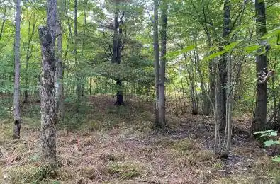 19 Turtle Lane McKellar Ontario P0G 1C0